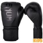 Venum Challenger 2.0 Kids Boxing Gloves Black/Black