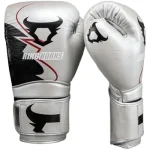 Ringhorns silver